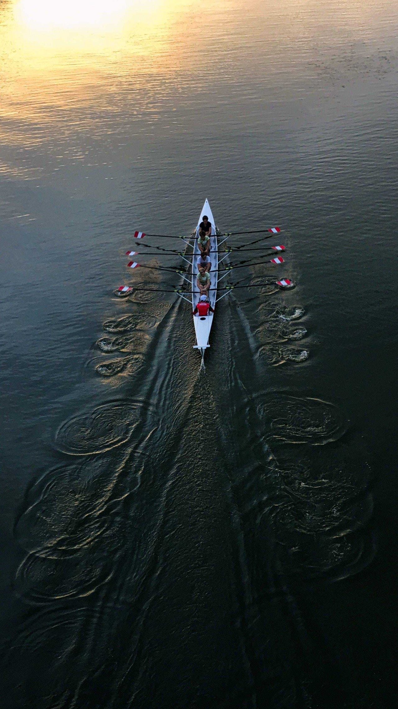 Sean robertson 4 S Xt Qkt BK Ok unsplash 1