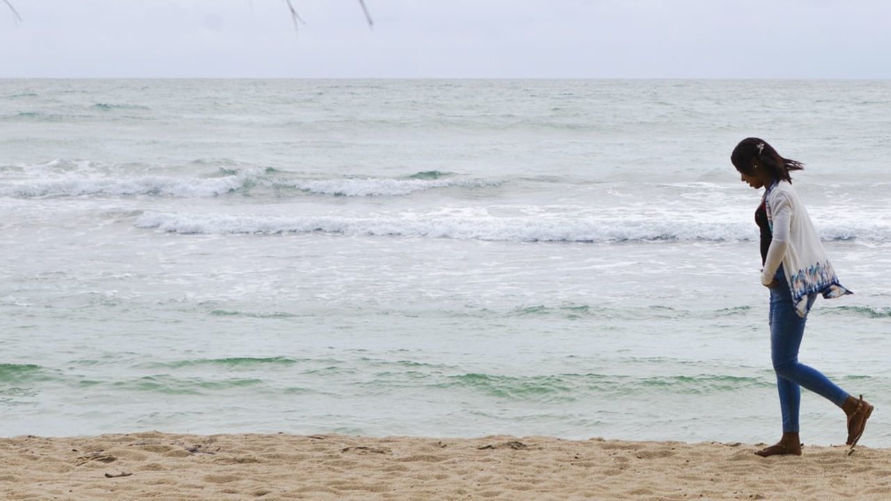 IJM Deisy header
