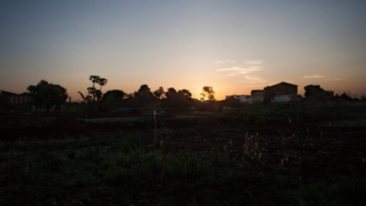 500 img 1187